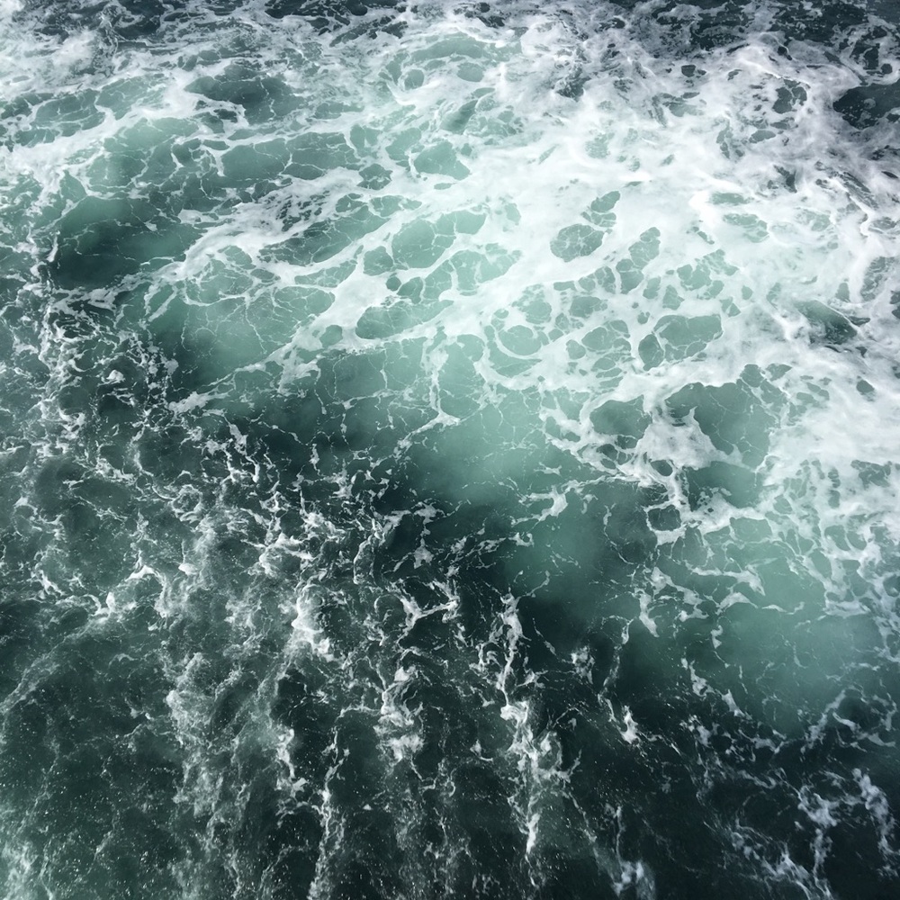 Meet your Posher, Ainsley